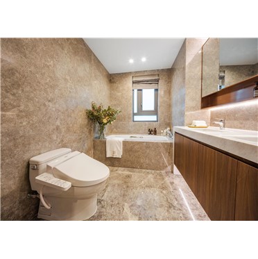 s-372-373-202101251721292335655