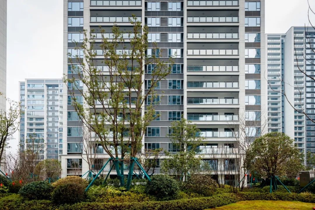 202404091523514049136